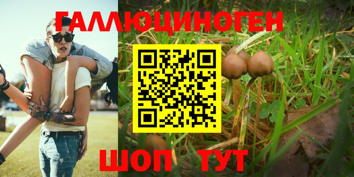 Псилоцибиновые грибы Magic Shrooms Богородицк