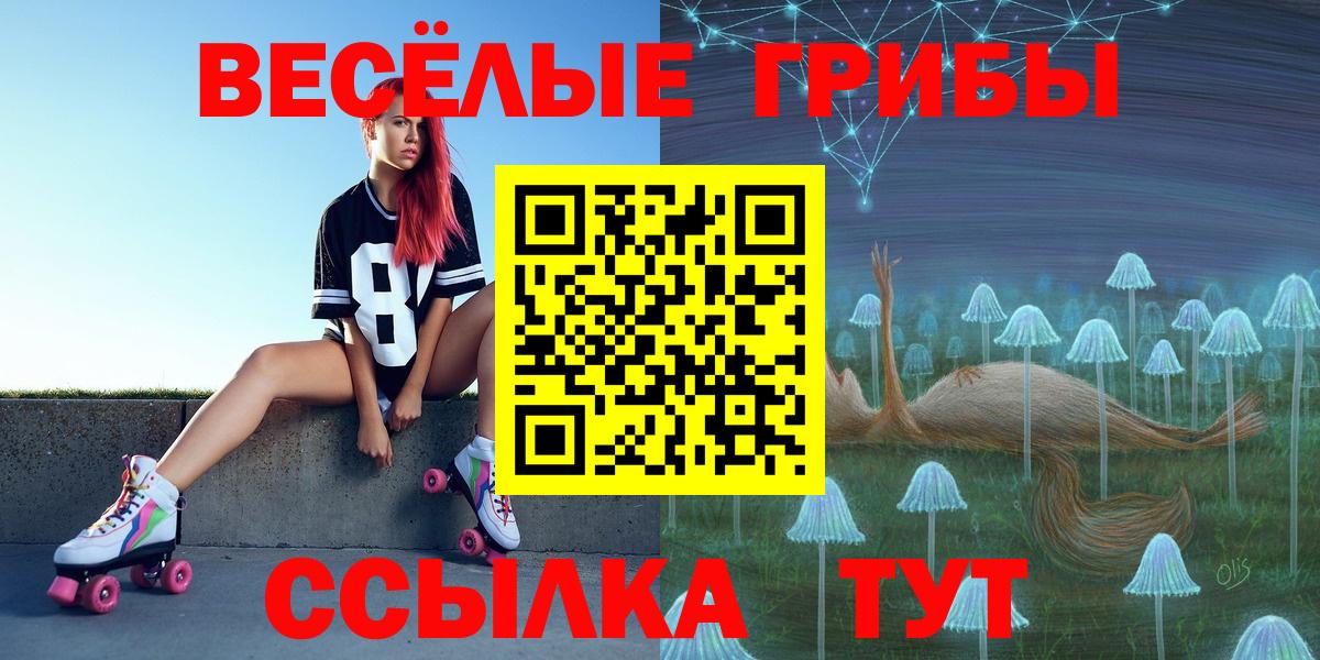 Богородицк  Псилоцибиновые грибы Psilocybe  Вход с VPN  Псилоцибиновые грибы прущие грибы 