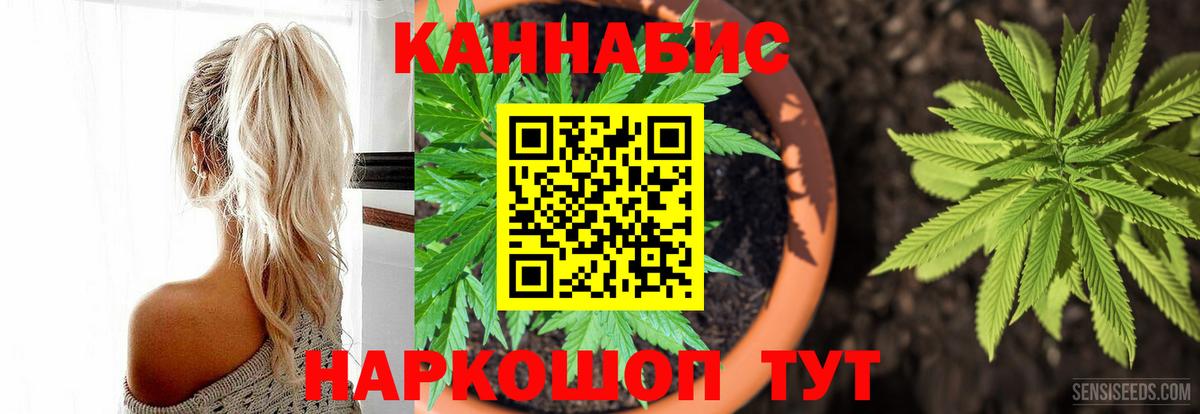 Шишки марихуана Bruce Banner Богородицк
